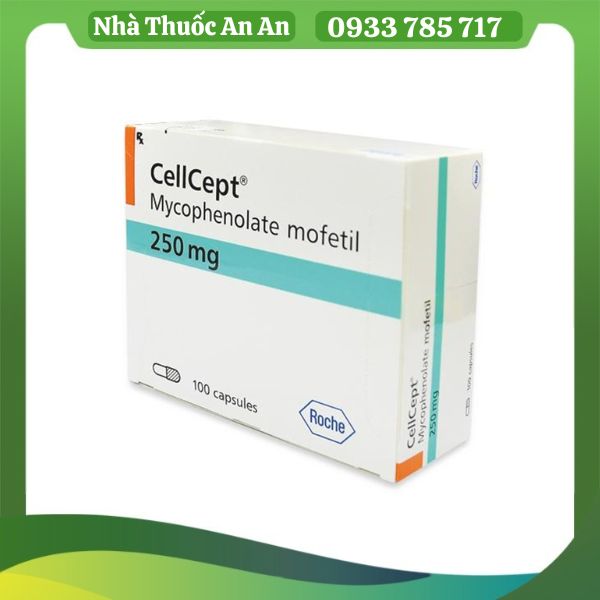 Thuốc Cellcept 250mg - Công dụng và chỉ định dùng thuốc